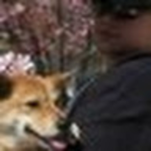 joeychen0317